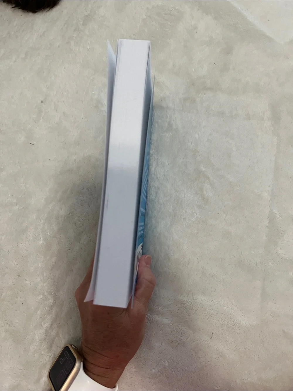 The Hunting Wives by — Blue Cover Paperback